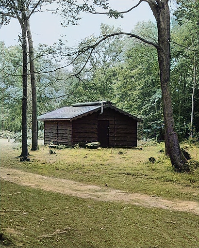 Image 6
